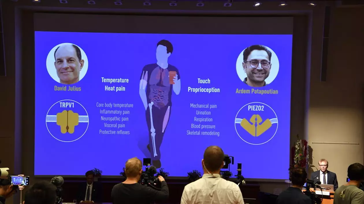 David Julius și Ardem Patapoutian au câștigat Premiul Nobel pentru Medicină 2021. Ce descoperire au făcut