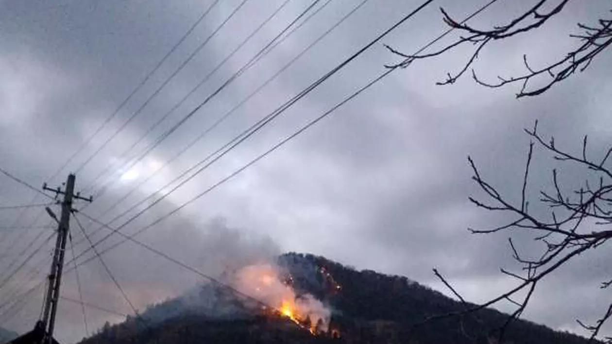 Pădurea de la Oituz arde de cinci zile. Incendiul s-a extins pe 28 de hectare