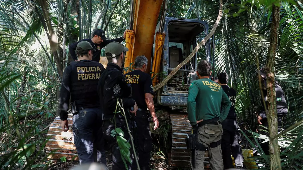 Defrișările din pădurea amazoniană din Brazilia au atins cel mai ridicat nivel din ultimii 15 ani
