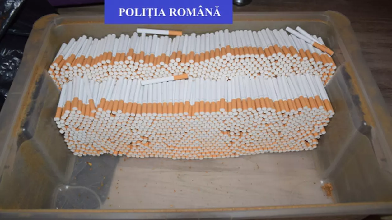 Fabrică de țigări clandestină, descoperită într-un apartament din Zalău. Polițiștii au confiscat peste un milion de țigări