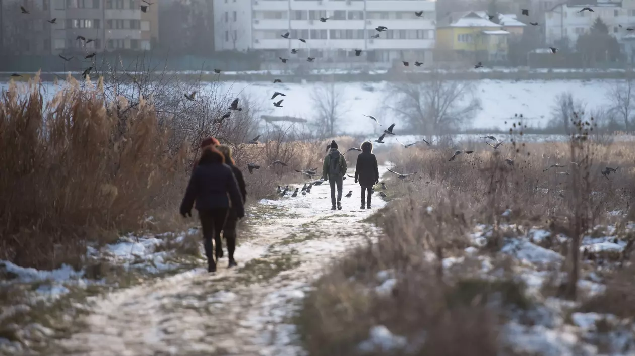 Cum va fi vremea în luna februarie. Prognoza meteo pentru ultima lună de iarnă