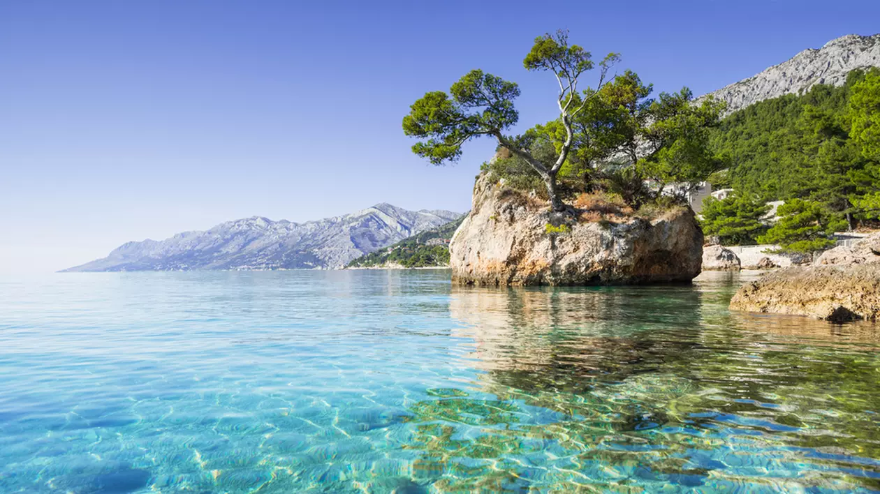 Marea Adriatică Curiozitati