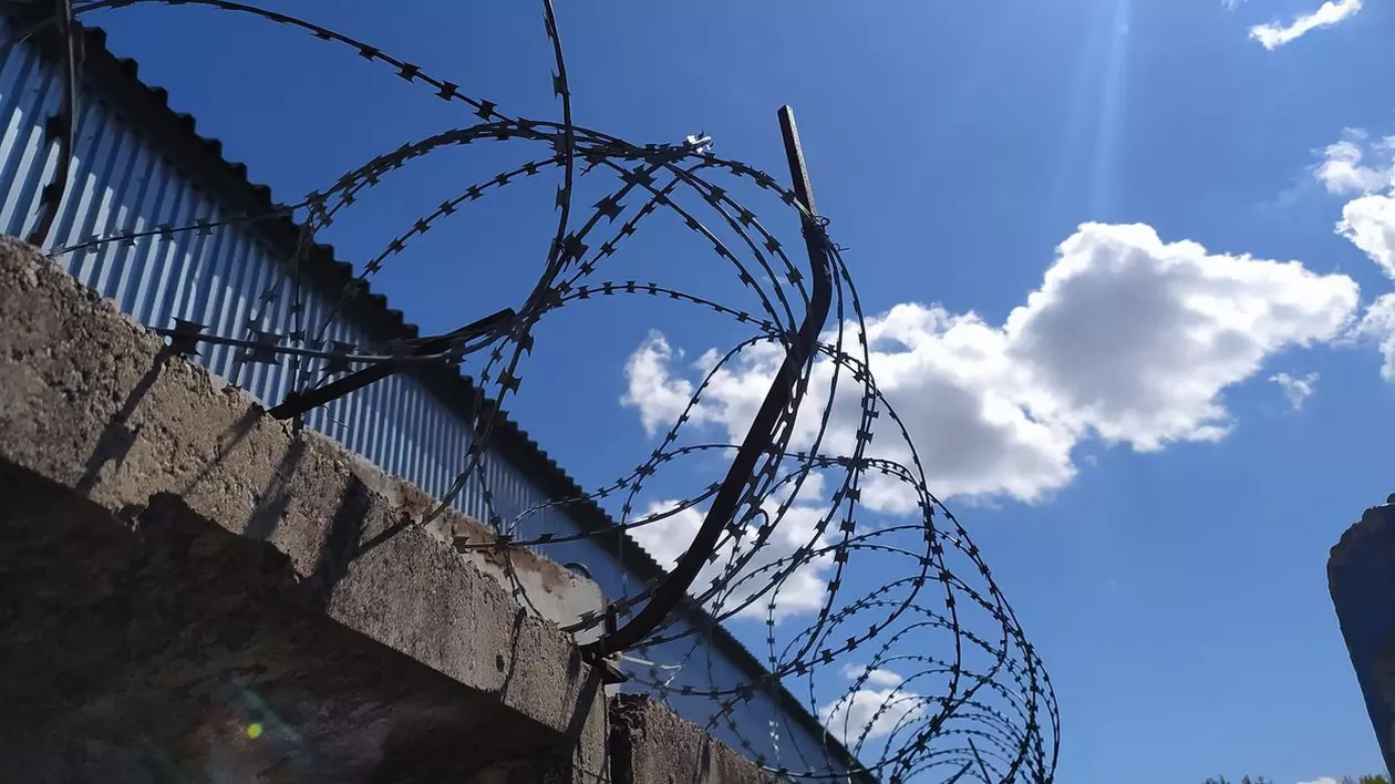 Rusia recrutează în masă deținuți pentru a-i trimite să lupte în Ucraina - ONG