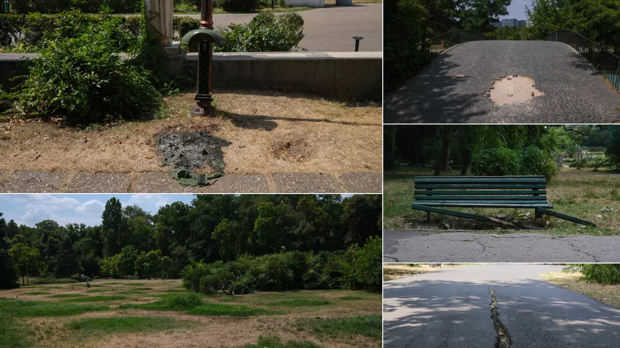 Parcul Herăstrău, degradarea continuă. Bănci rupte, iarbă lipsă, alei crăpate și arteziene fără apă
