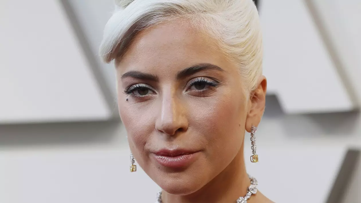 Unul dintre răpitorii câinilor lui Lady Gaga, condamnat la 4 ani de închisoare