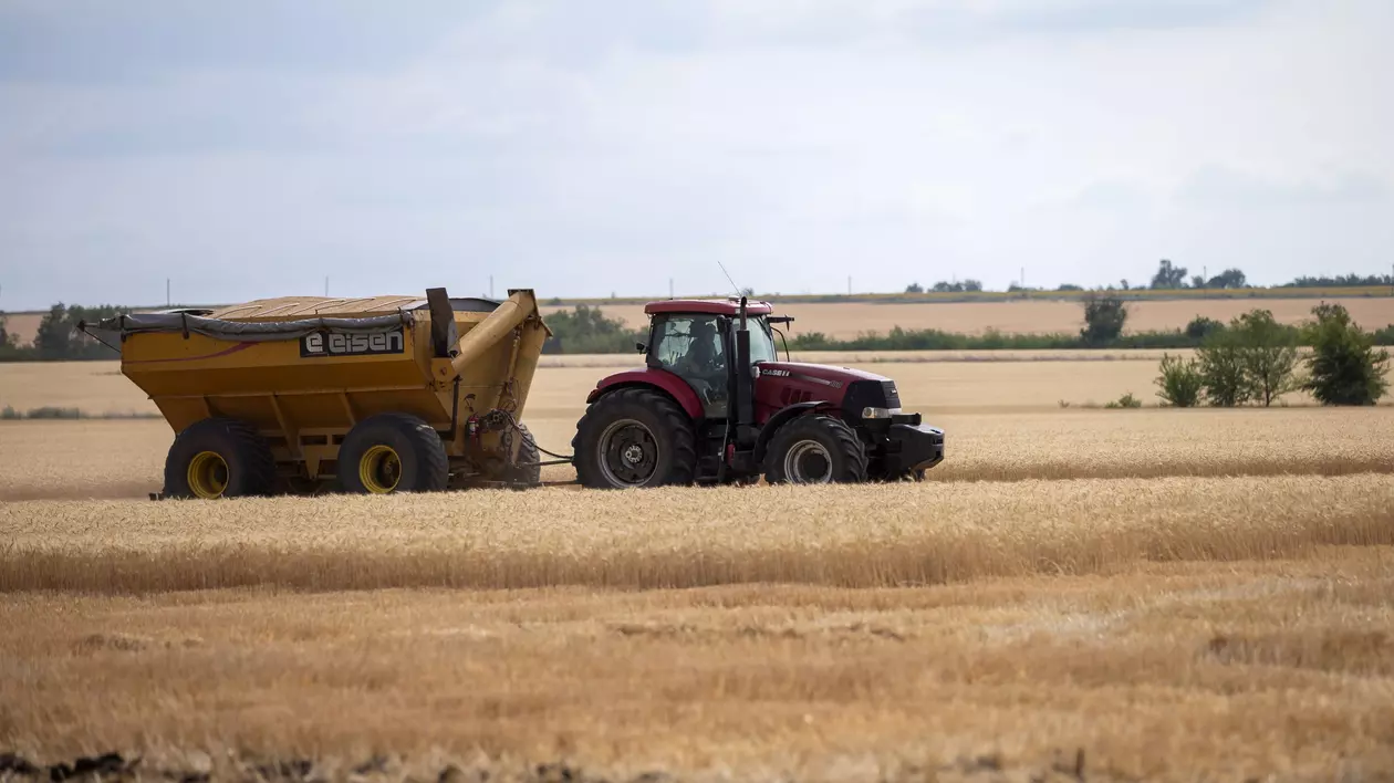 Moscova restricționează drastic importurile de produse agricole din Moldova. Ce motiv au invocat autoritățile ruse
