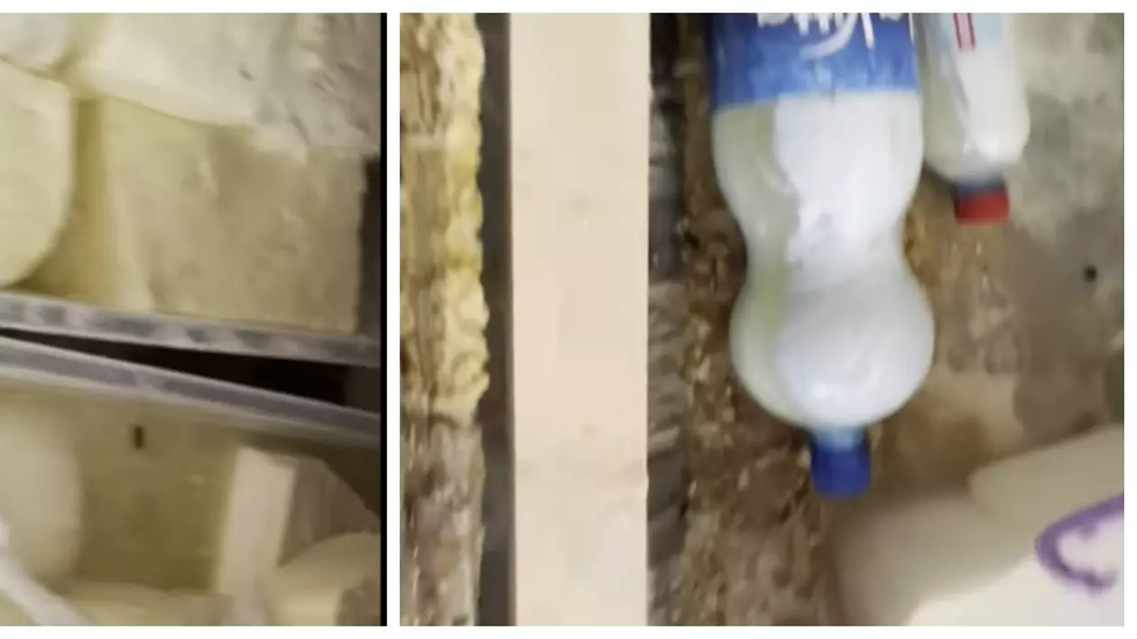 Comercianții din Lugoj, verificați de ANPC. Brânză cu gândaci vândută oamenilor și bijuterii „umflate” la greutate