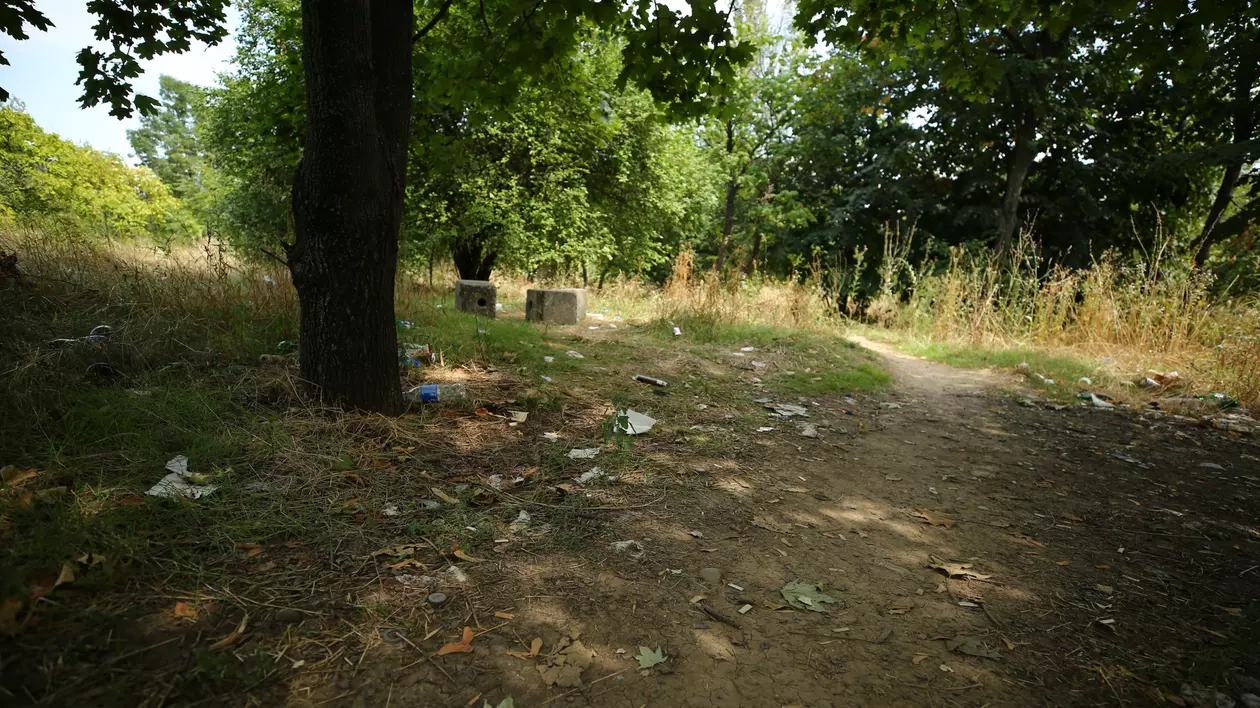 Parcul Grozăvești este neîngrijit, cu buruieni foarte înalte, alei crăpate. Foto: Dumitru Angelescu