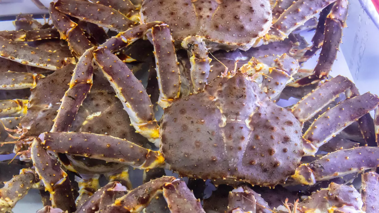 Autoritățile investighează dispariția unui miliard de crabi din apele statului Alaska. Populația de crustacee a scăzut cu 90% în doi ani