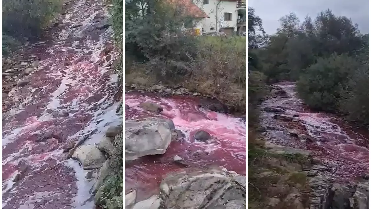 Imagini filmate cu apa care curge roșie pe râul Sălăuța, din Bistrița Năsăud | VIDEO