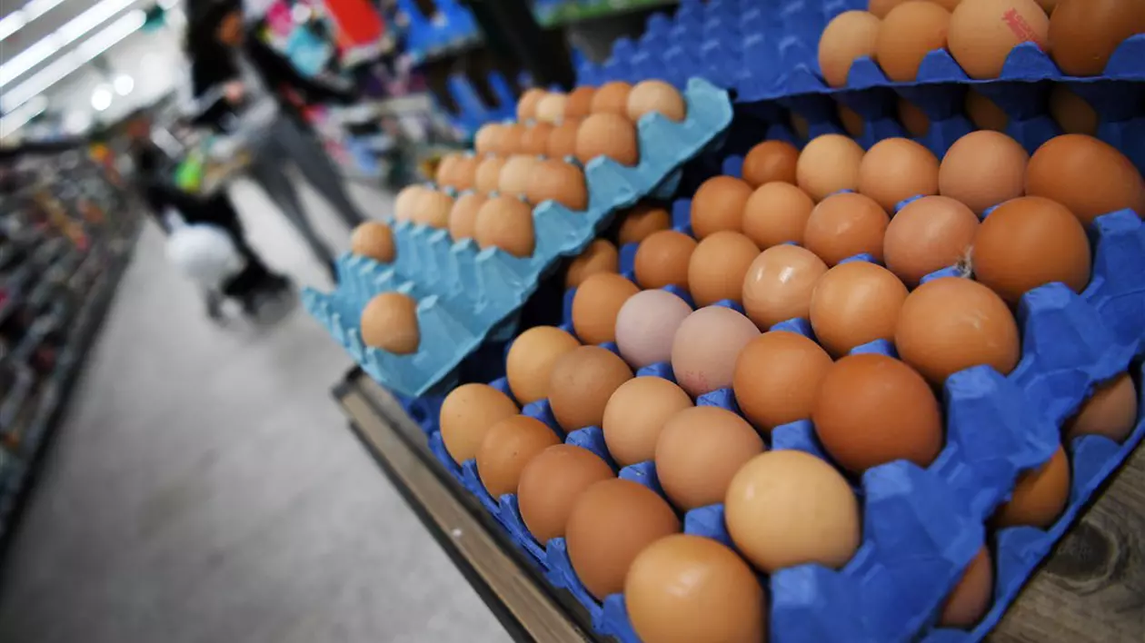 Britanicii nu mai pot cumpăra câte ouă doresc din unele supermarketuri din Marea Britanie. Care sunt motivele