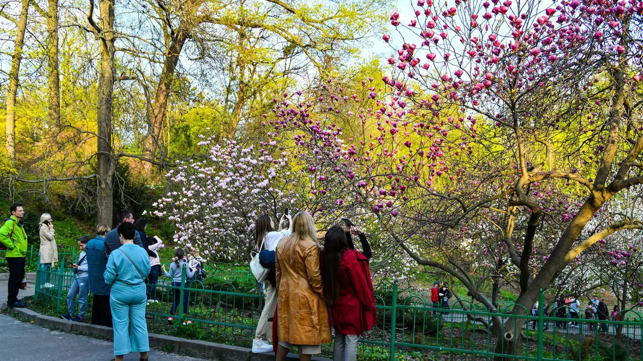 Grădina Botanică din Kiev luptă să-și salveze plantele tropicale. O colecție veche de câteva decenii, în pericol din cauza penelor de curent