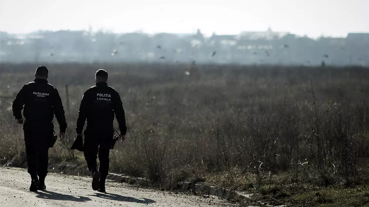 ANALIZĂ. De ce încă avem haite de câini maidanezi în București? Care sunt soluțiile și cum trebuie să se împartă responsabilitățile între autorități și public