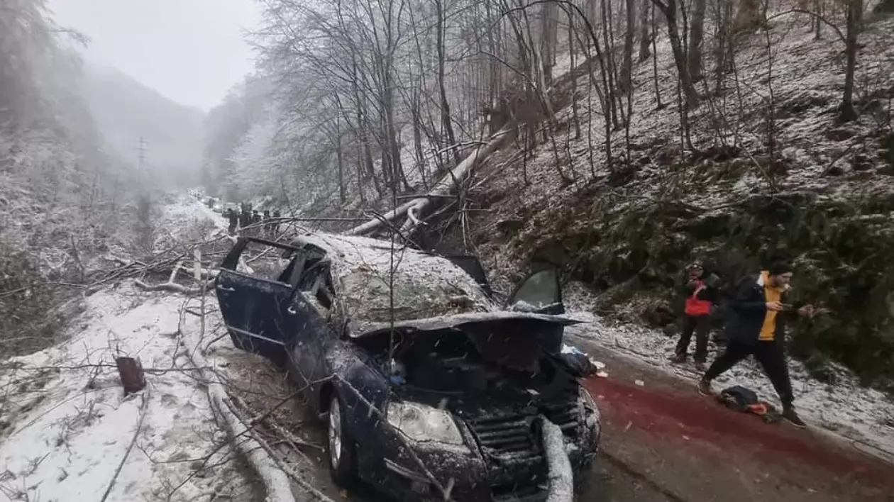 Un copac a căzut peste mașina unei familii. Copilul a murit, părinții la spital
