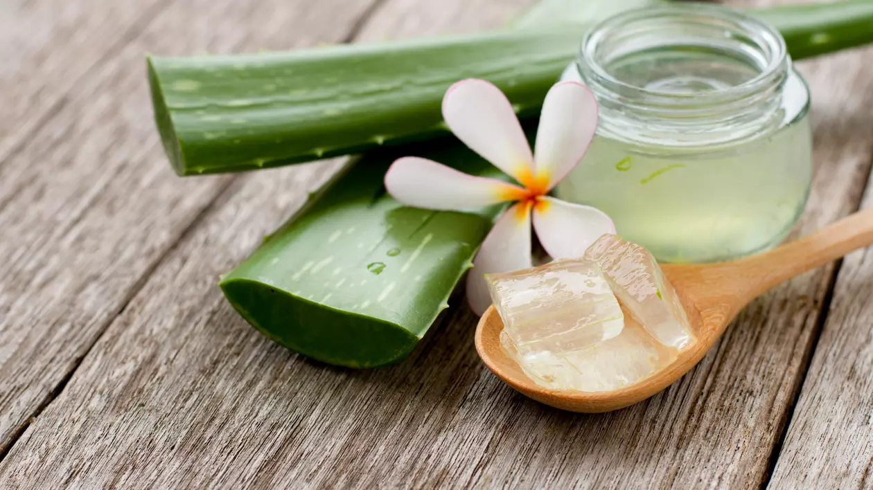 Gelul de aloe vera-beneficii