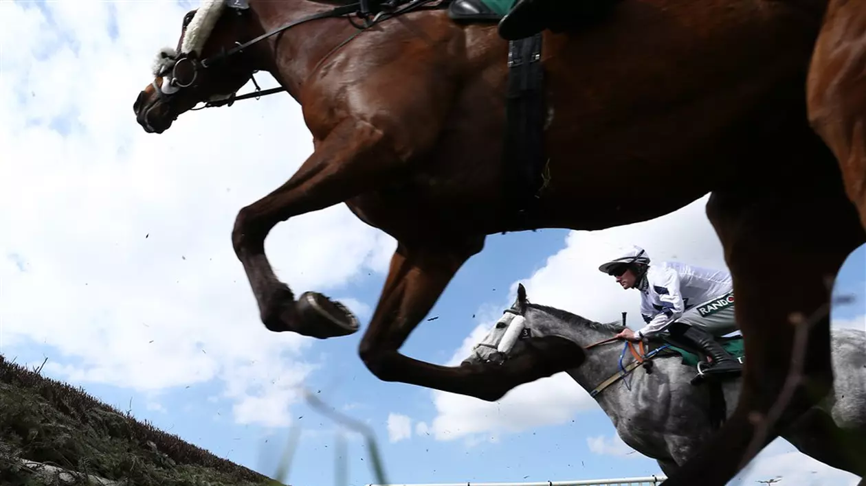 Cursa anuală de cai Grand National din Marea Britanie, amânată din cauza protestelor pentru drepturile animalelor