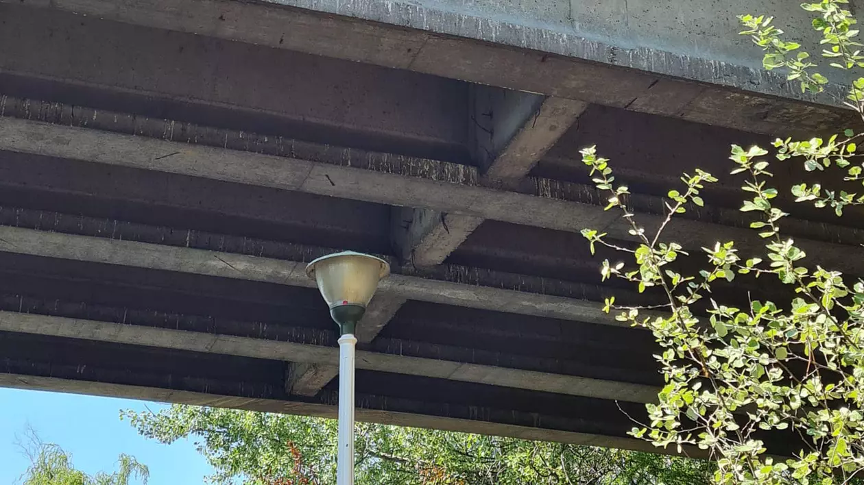 Podul din Parcul Tineretului din București intră în reparaţii. Circulaţia pietonală, închisă temporar