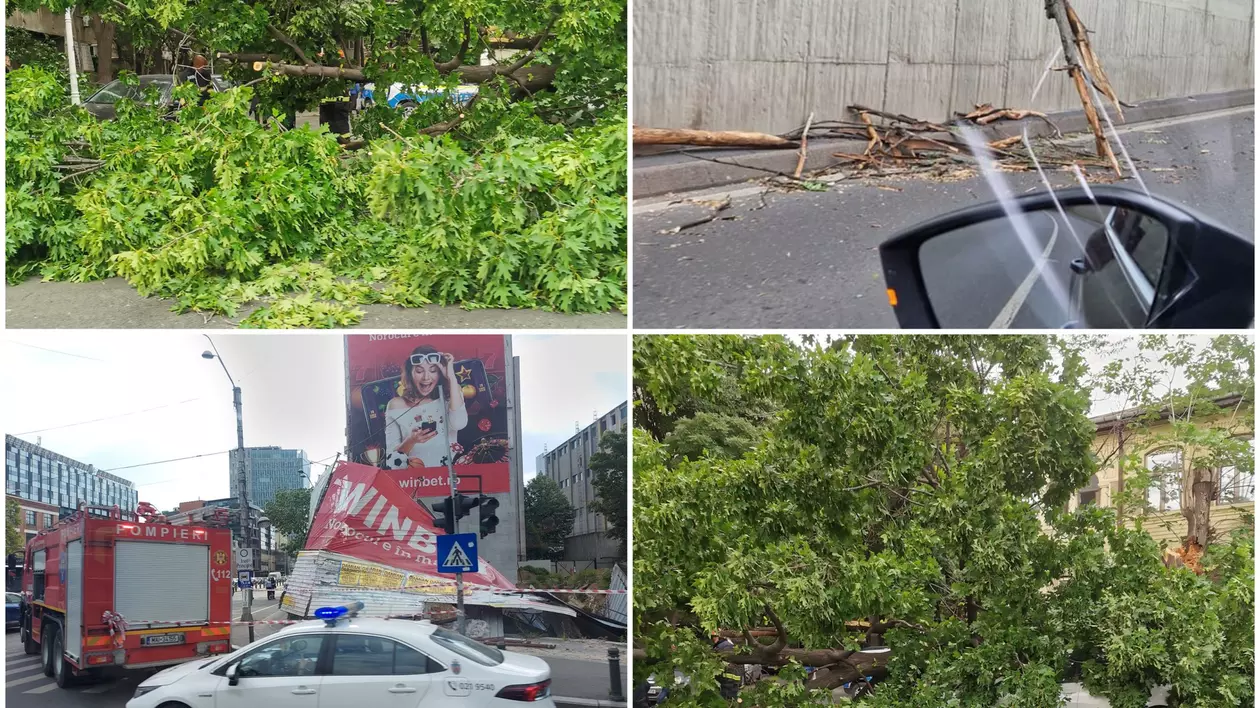 O persoană rănită de un copac și mai multe pagube în București, după codul galben de vânt