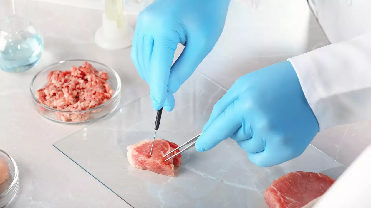 Carnea artificială nu va salva planeta. Un studiu arată că producerea acesteia este de 25 de ori mai poluantă