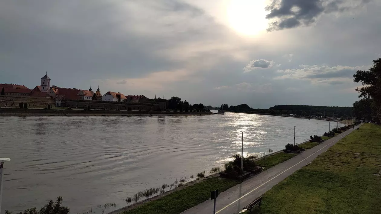 „A început vara și stăm baricadați în casă”. Invazie de țânțari la Osijek, în Croația, autoritățile  declară dezastru natural