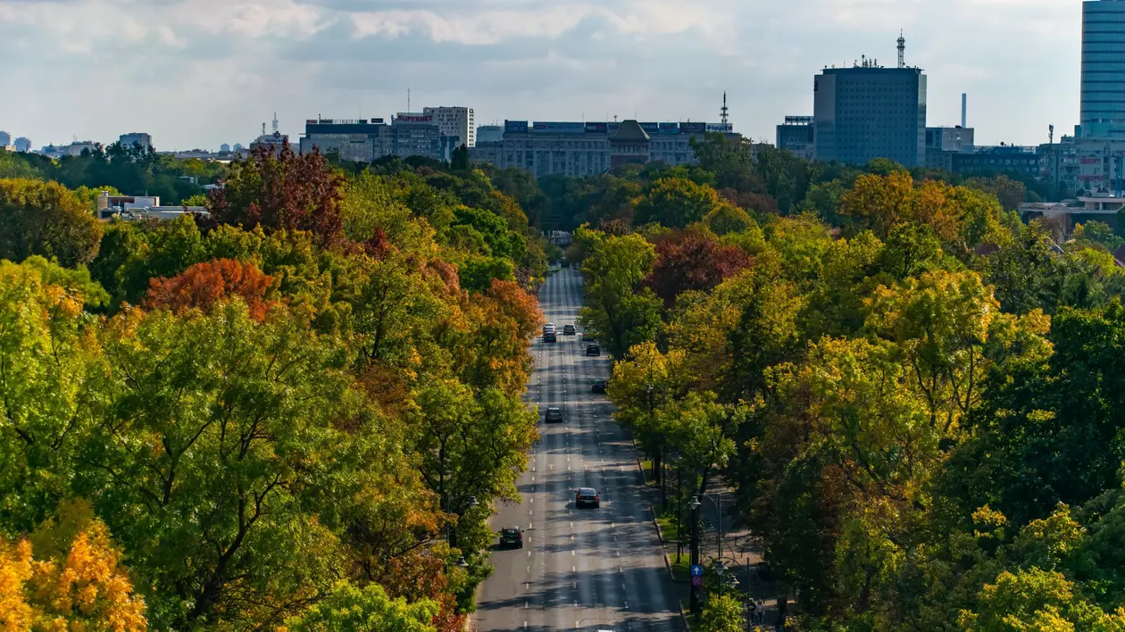 LUPTA PENTRU SPAȚIUL VERDE. Ce se întâmplă în procesele în care o asociație a cerut desființarea documentului care apără zonele protejate din București. Care sunt cele 98 de zone?