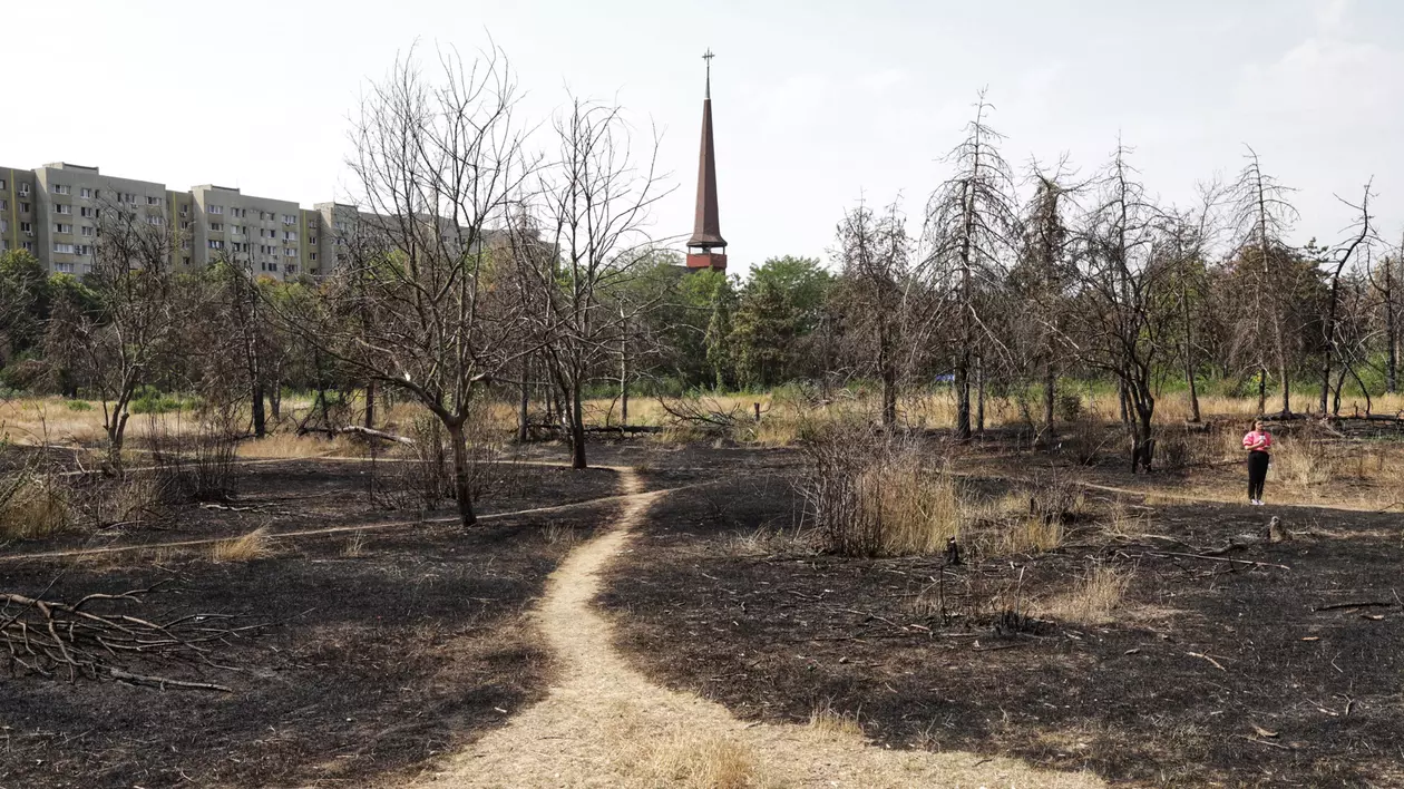 Proprietarii celor 12 hectare retrocedate din Parcul IOR, amendați de Primăria Capitalei cu 35 milioane de euro pentru reducerea spațiului verde