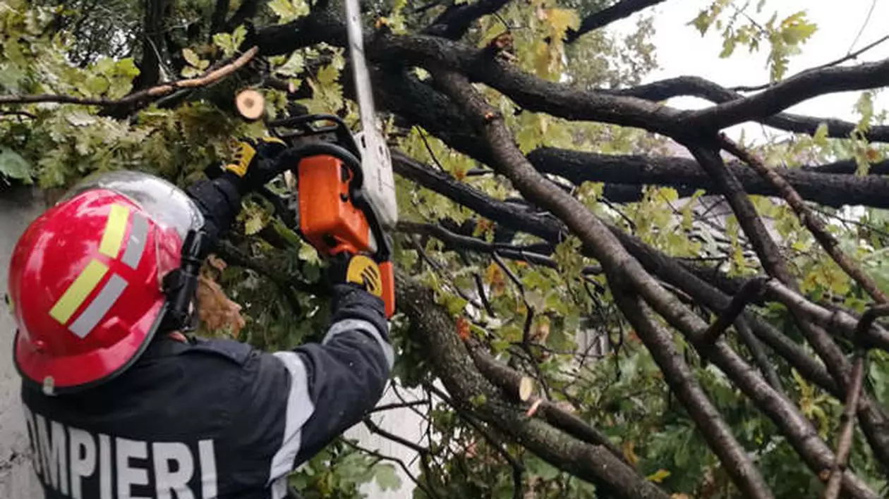 Imagine cu un pompier care intervine pentru îndepărtarea unui copac căzut în Arad