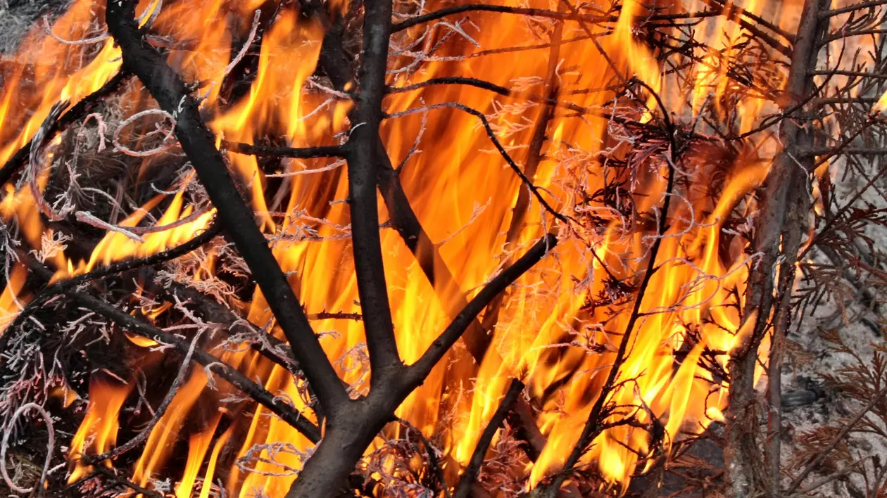 Un magazin dintr-o comună din județul Bacău a ars complet. Care a fost cauza incendiului
