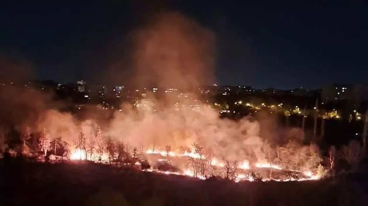 Incendiu puternic în Parcul IOR din București. Au ars 4.000 de metri pătrați de vegetație