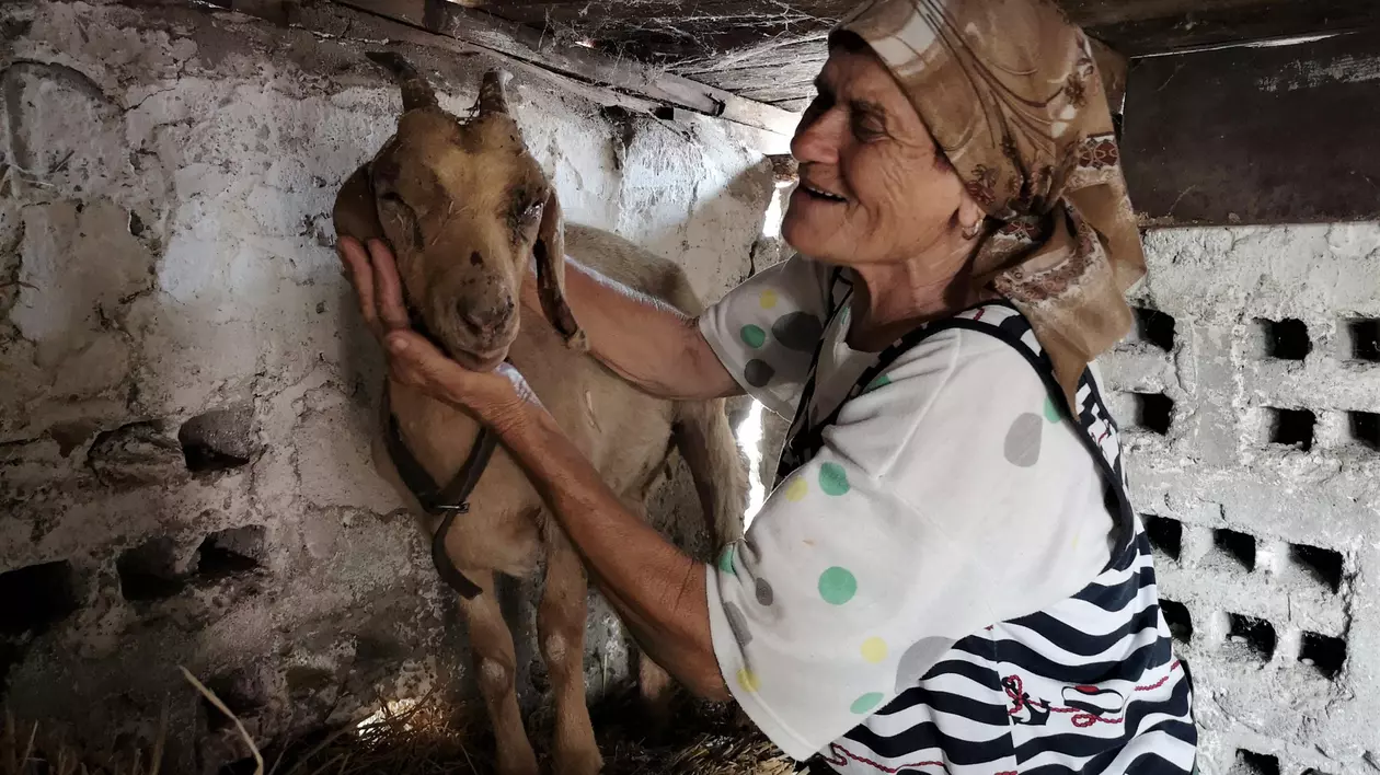 CREVEDIA. Viața după ce ai pierdut aproape tot puținul pe care l-ai agonisit: „Mi-a luat căprițele cu care mă hrăneam. Îmi pare rău că au murit în suferință”