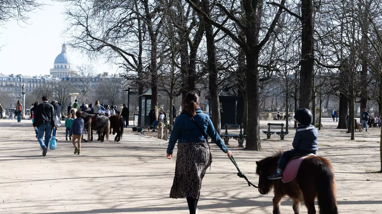 Plimbările cu ponei pentru copii, interzise în Paris. Decizia, luată în urma unei campanii pentru drepturile animalelor
