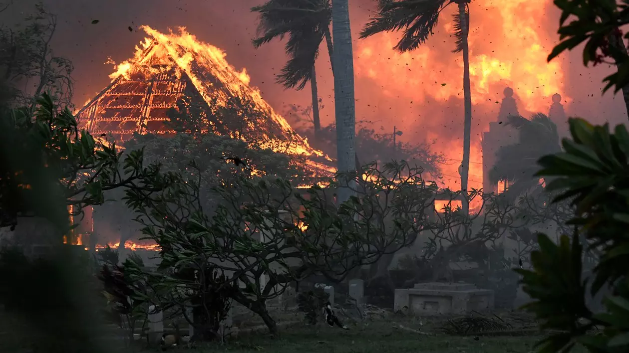 Incendii de vegetație în Hawaii: oameni salvați din ocean, unde s-au adăpostit de flăcări