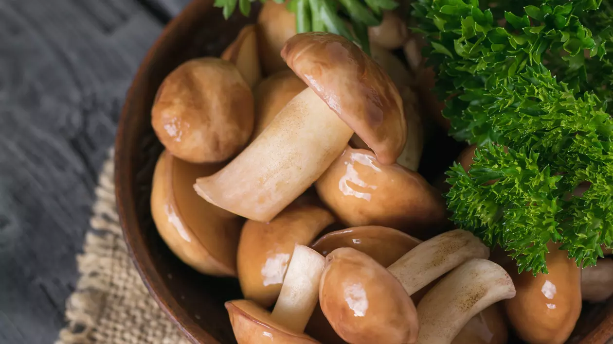 Reţete cu ciuperci champignon simple și gustoase