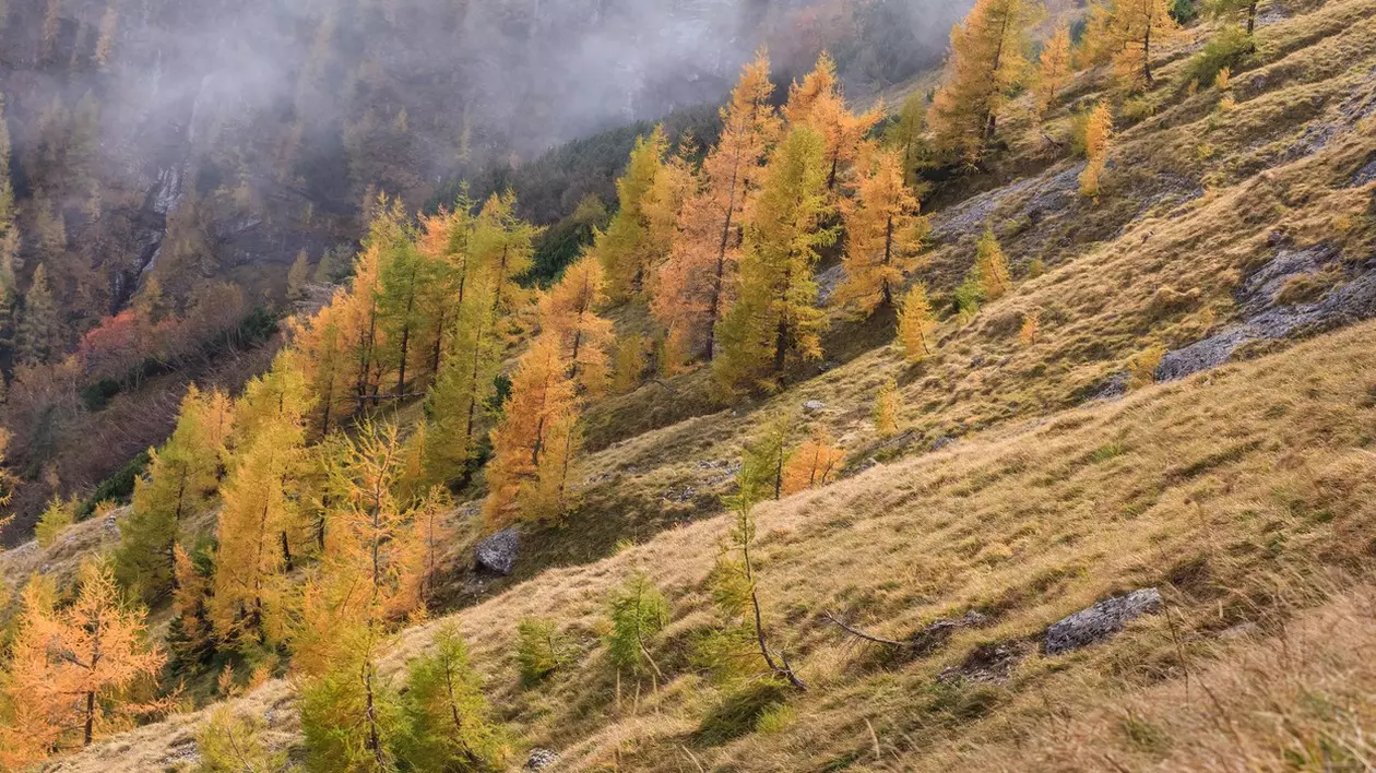 Opt turiști blocați în Masivul Bucegi, salvați de jandarmi după ce nu au mai putut să coboare