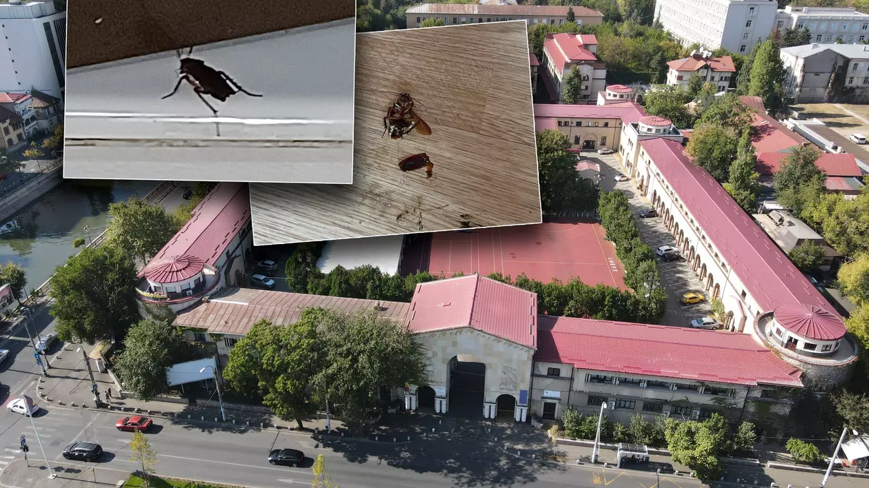 FOTO. După ce Universitatea de Educație Fizică și Sport a catalogat greva studenților drept „nelegală”, aceștia au trimis către Libertatea imagini cu gândacii din cămine. Ce spune rectorul