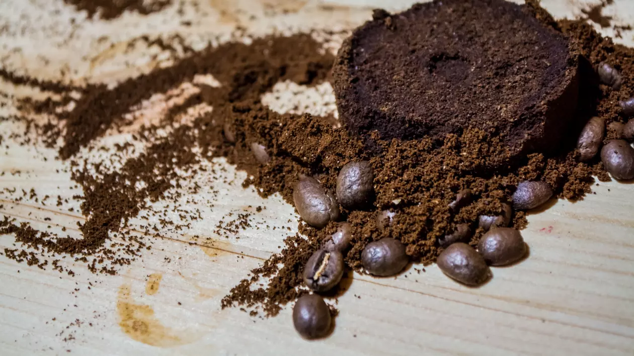 Întrebuințări surprinzătoare ale cafelei - ce poți face cu cafeaua și cu zațul
