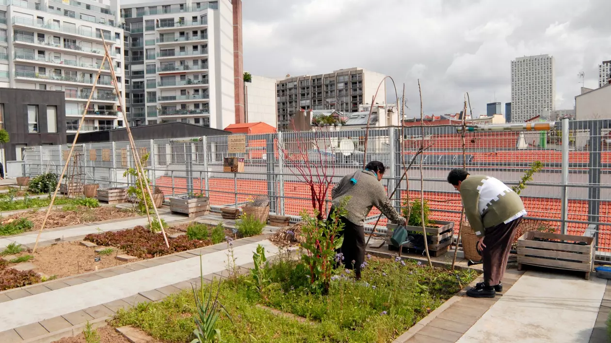 Grădinile de pe bloc sunt o soluție pentru mai mult verde. Fotografie din Paris de Profimedia Images