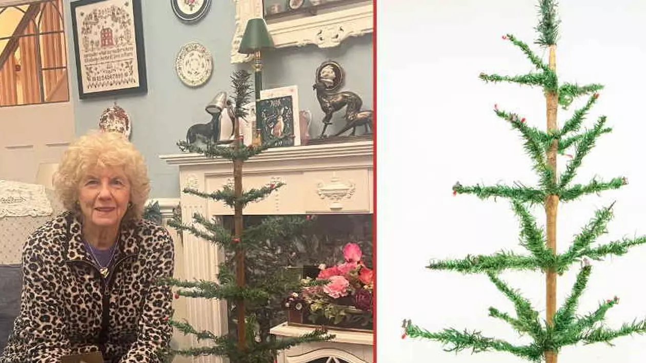 Un brad de Crăciun vechi de un secol a fost vândut la licitație, în Marea Britanie. Suma obținută