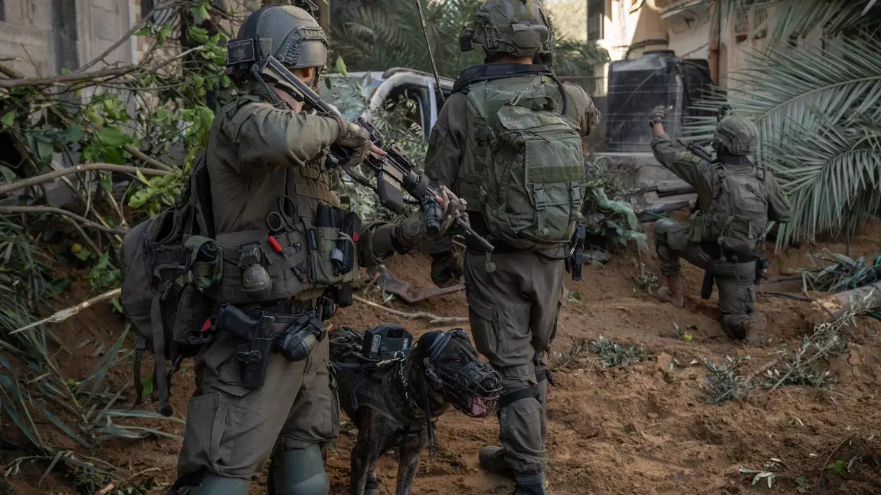 Câinii care îi îngenunchează pe militanții Hamas: Armata israeliană difuzează imagini cu unitatea sa canină implicată în luptele din Fâșia Gaza | VIDEO