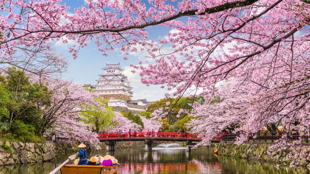 Japonia - curiozităţi despre Ţara Soarelui Răsare