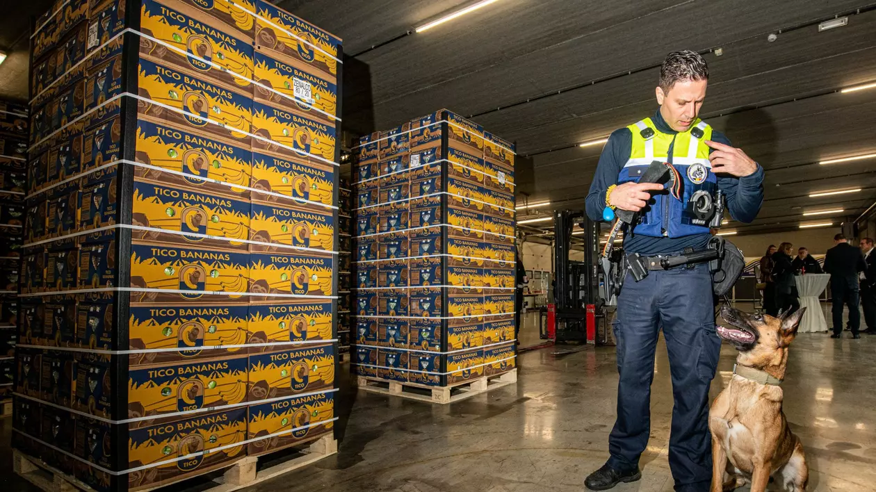 Cantitate record de cocaină, de 116 tone, confiscată de vameșii belgieni în 2023. Violența legată de traficul de droguri a crescut în UE