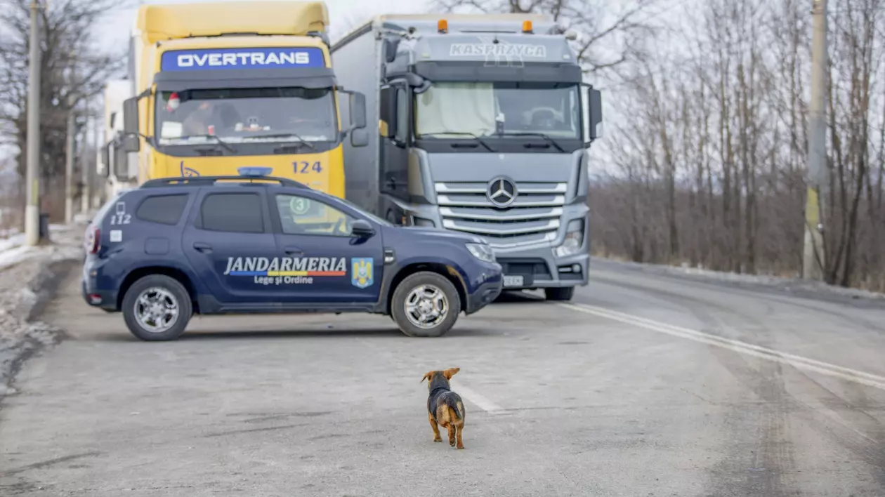 Traficul în Vama Siret a fost reluat. Camioanele din Ucraina aşteaptă până la două ore la graniţă