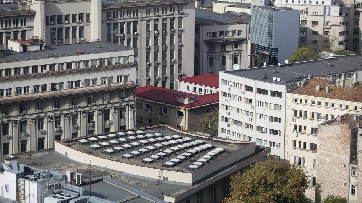 ORAȘELE BETONATE. În București, un copac valorează cât o șaorma. Ce au promis și ce au făcut primăriile pentru a crește suprafața de spații verzi