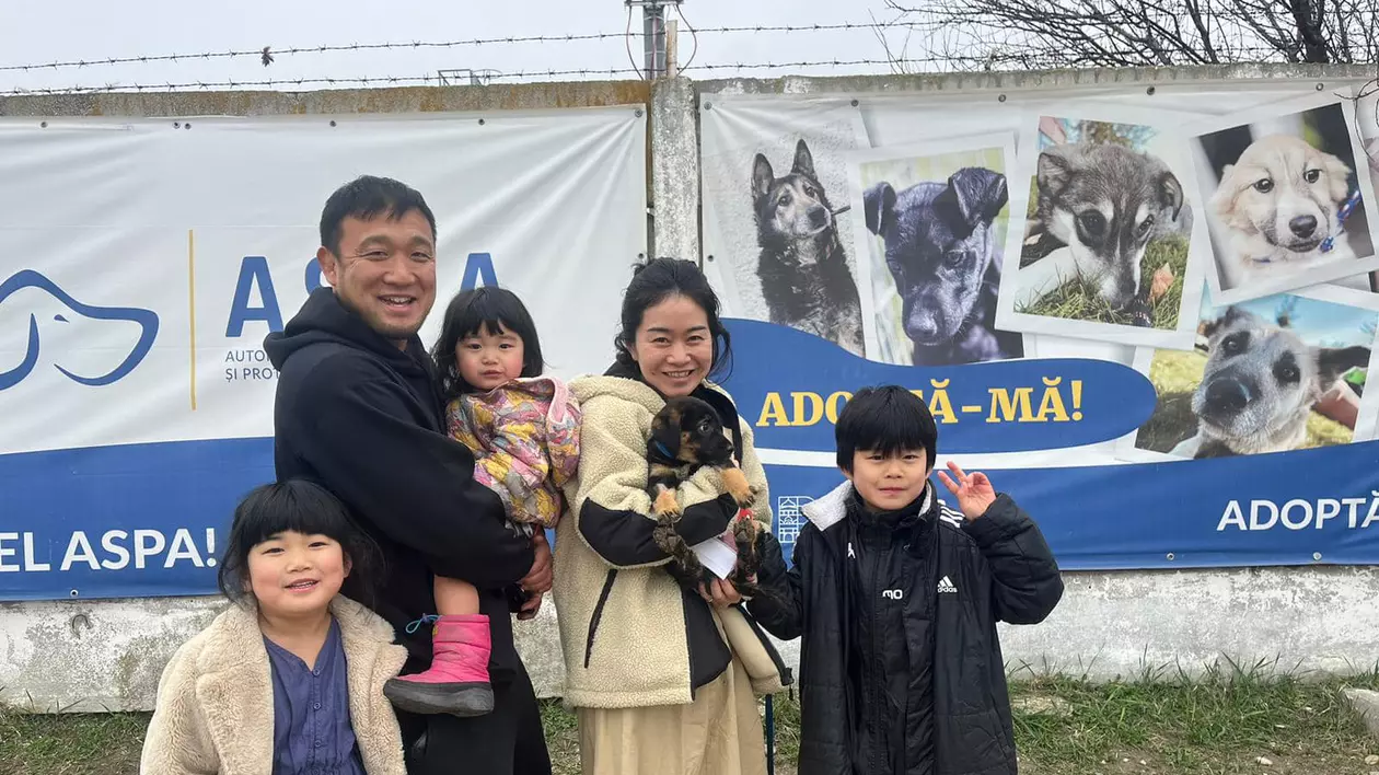 Un căţel din adăpostul ASPA Bragadiru, adoptat de o familie de japonezi. Primarul Capitalei: Peste 1.300 de căţei au fost adoptaţi anul trecut