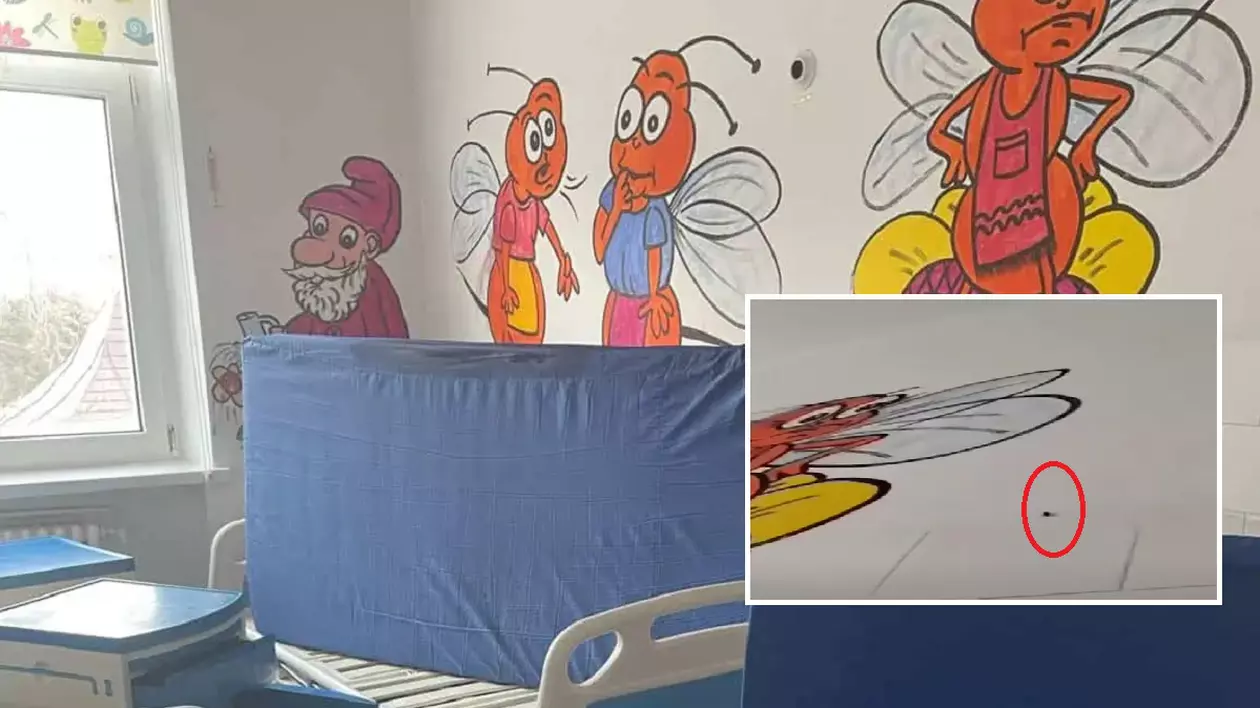Gândaci în saloanele de Pediatrie de la Spitalul Județean Botoșani: „Mizerie ruptă parcă dintr-un film de groază”. Reacția conducerii | VIDEO