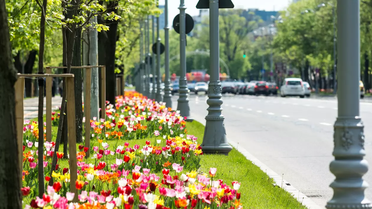 Prognoza meteo pe două săptămâni: vremea se încălzește după 15 mai. Unde se ating 28°C
