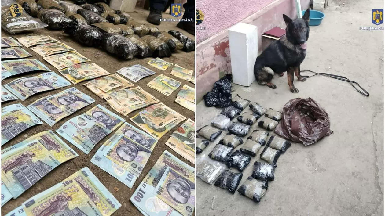 O bunică de 87 de ani din Ialomița, traficantă de droguri coordonată de nepoții ei. Vindea canabis și cocaină