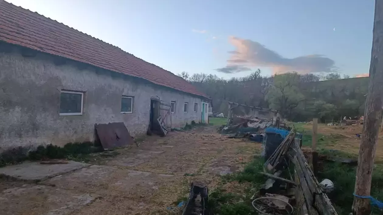 VIDEO Copil ținut într-o cuşcă, bătut și obligat să muncească la o stână din Braşov, timp de patru ani. FOTO