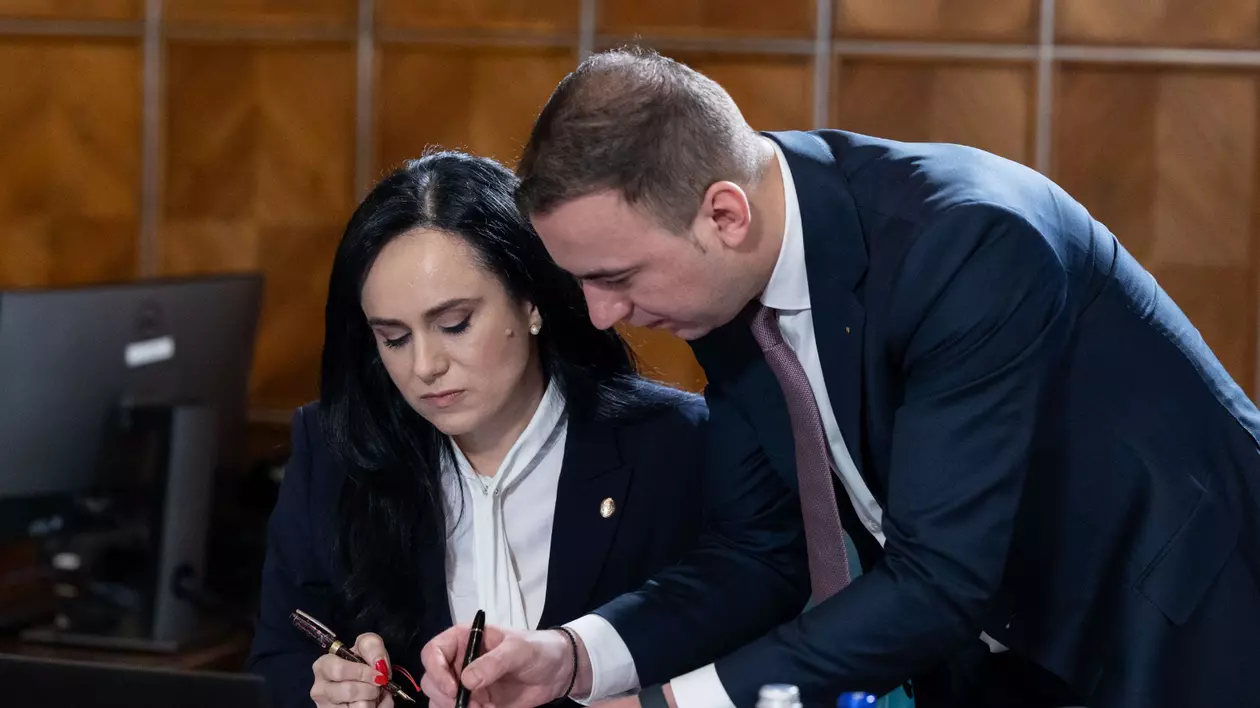 Ministerul Muncii anunţă platforma prin care persoanele fizice pot angaja şi plăti legal personal pentru activităţi casnice