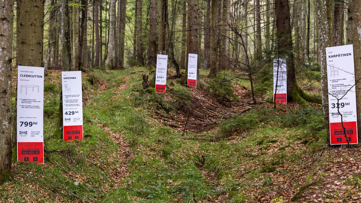 Activiști ai Greenpeace au organizat un protest în pădurile României, unde au pus etichetele produselor IKEA realizate din lemnul luat din pădurile seculare ale țării